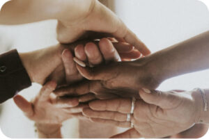 transformacao cultural capa